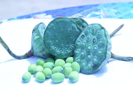 Lotus seeds green on a white background.の写真素材
