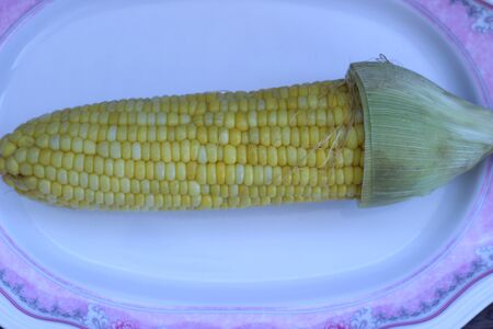 Boiled corn cobs isolated on white backgroundの写真素材