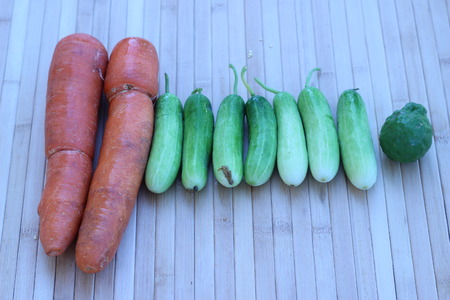 Fresh vegetables placed together on a brown backgroundの写真素材