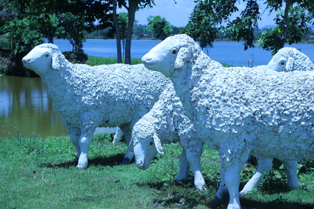 Sheep herd on pasture Larger statues beside the pondの写真素材