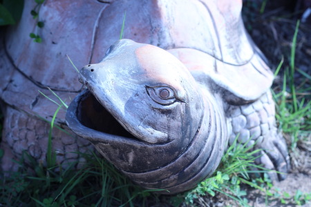 Beautiful big turtle statue in the backyardの写真素材