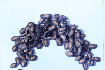 Watermelon seeds piled in brown wooden plate on a white backgroundの写真素材