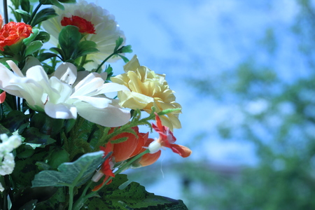 Flowers in a vase multiplicity paint outdoors in the gardenの写真素材