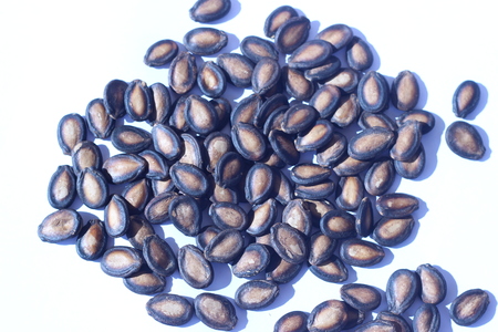 Watermelon seeds piled in brown wooden plate on a white backgroundの写真素材