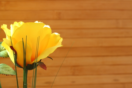 Yellow roses are arranged in bouquets on a brown backgroundの写真素材