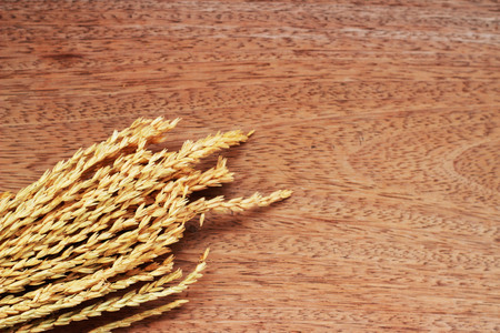A brown grass bouquet is placed on a brown backgroundの写真素材