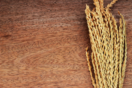 A brown grass bouquet is placed on a brown backgroundの写真素材