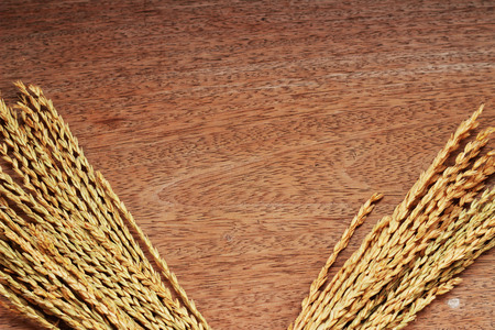 A brown grass bouquet is placed on a brown backgroundの写真素材