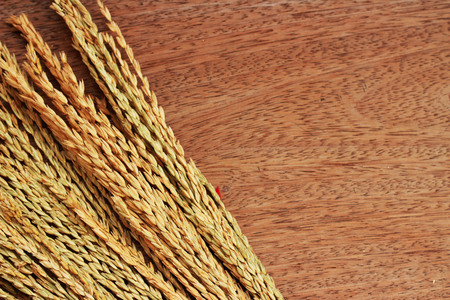 A brown grass bouquet is placed on a brown backgroundの写真素材