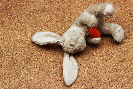 Old rabbit doll drops on brown groundの写真素材