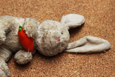 Old rabbit doll drops on brown groundの写真素材
