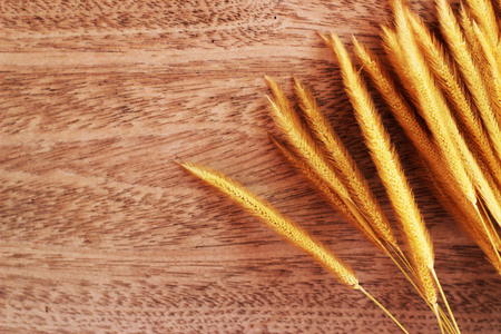 A brown grass bouquet is placed on a brown backgroundの写真素材