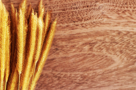 A brown grass bouquet is placed on a brown backgroundの写真素材