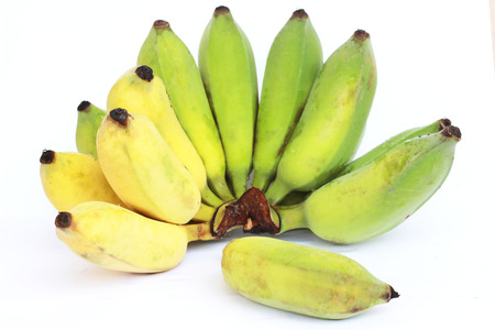 Bananas that are going to be cooked are greenish yellow on a white backgroundの写真素材