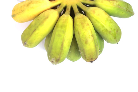 Bananas that are going to be cooked are greenish yellow on a white backgroundの写真素材