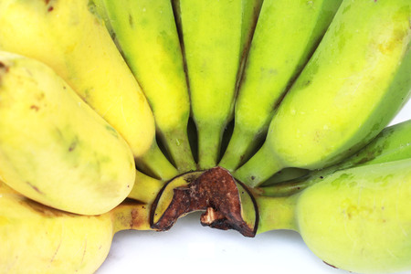 Bananas that are going to be cooked are greenish yellow on a white backgroundの写真素材