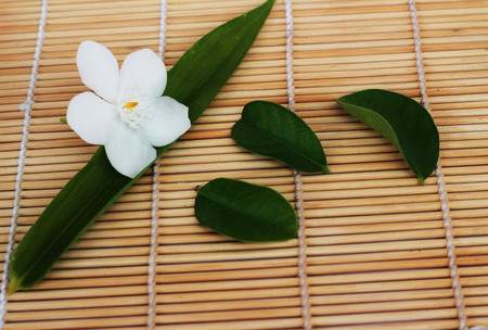 Gardenia white flowers placed on brown weave bamboo as backgroundの写真素材
