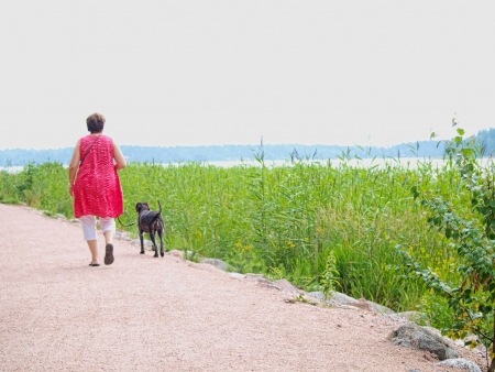 Woman with dog, walking on gravel road, at summerの写真素材