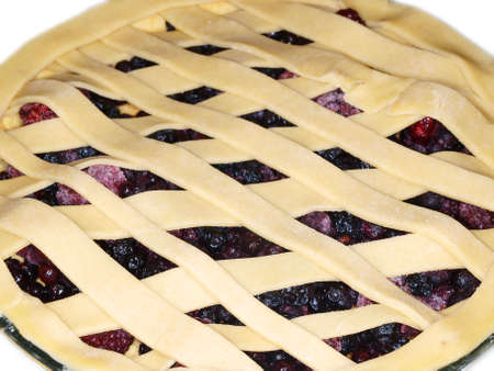 Fresh dark blue berry pie, covered with shortcrust pastry