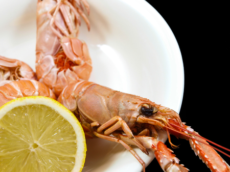 Langoustine prepared on a white plate with lemonの写真素材