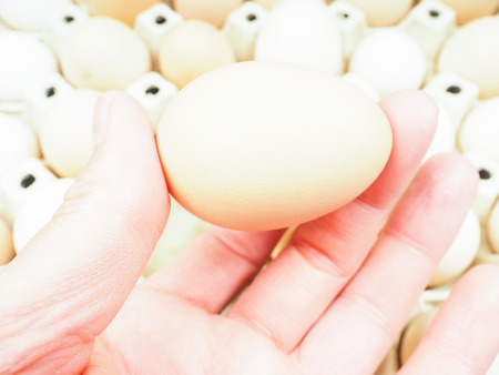 Someone holding a chicken egg over a container of brown and white eggsの写真素材