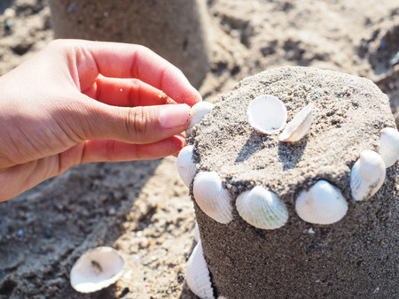 Person creating a sand castle with white clamsの写真素材