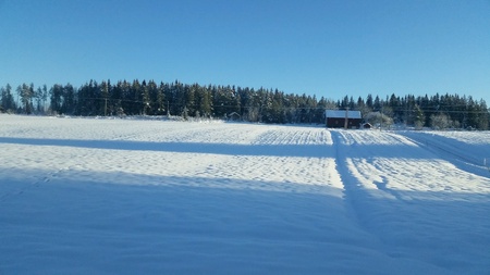 Field covered in snow on farm under clear blue sky on cold sunny winter dayの素材