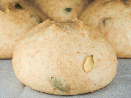Pumkin seed buns proofed on baking paper at close-upの写真素材