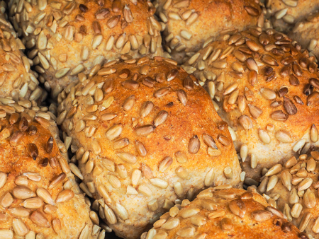Closeup of freshly made sunflower seed buns, side by side, on a tray at close-upの写真素材