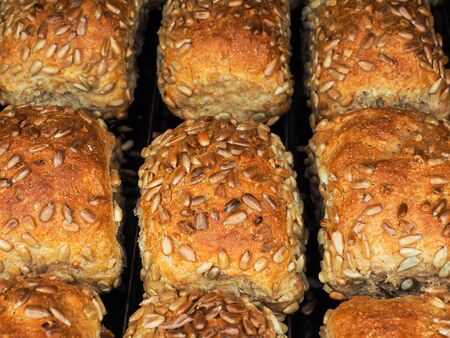 Closeup of freshly made sunflower seed buns, side by side, on a tray at close-up