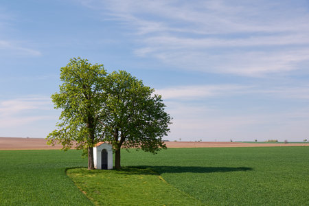 Small chapel under a treeの写真素材