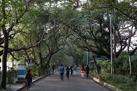 Kolkata, India - February 1, 2020: Several unidentified people walks through Minhaj Gardan park on February 1, 2020 in Kolkata, Indiaのeditorial素材