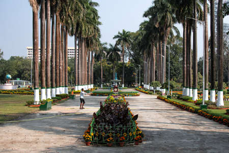 Kolkata, India - February 1, 2020: An unidentified waters flower and plants in a garden near Raj Bhaval Complex on February 1, 2020 in Kolkata, Indiaのeditorial素材