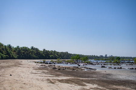 Coastline with mangrove and palm trees during low tide north of Ngwesaung beach, Irrawaddy, western Myanmarの写真素材