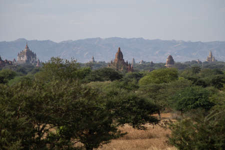 BAGAN, NYAUNG-U, MYANMAR - 3 JANUARY 2020: The top of old and historical temples peaking out above the tree vegetation in the distanceのeditorial素材