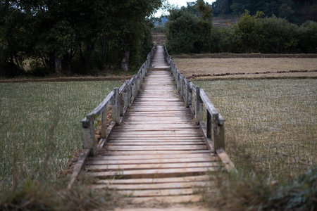 Wooden walkway by some rice fields close to a rural village on hike Kalaw to Inle Lakw, Shan state, Myanmarの写真素材