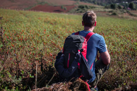 A backpacker sits down and hand picks red hot organic chili from a farm field between Kalaw and Inle...