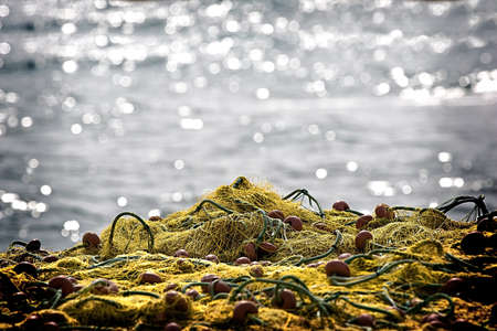 Fishing net