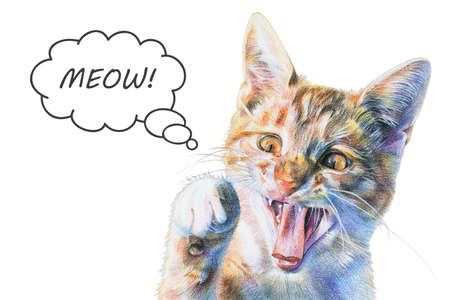 Red cat painted with colored pencils. Funny little tricolor kitten with raised paw says meow. Isolated illustration on white backgroundの写真素材