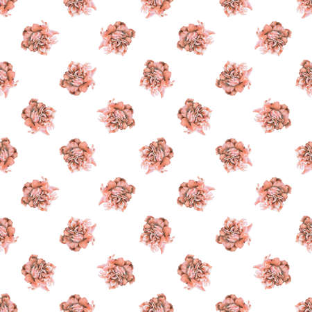 Seamless pattern with beautiful roses drawn by hand with colored pencils. Pencil drawing. Can be used for pattern fills, wallpapers, web page, surface texturesの写真素材