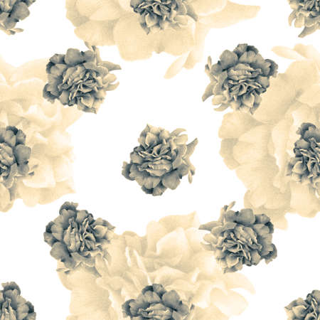 Seamless pattern with beautiful roses drawn by hand with colored pencils. Pencil drawing. Can be used for pattern fills, wallpapers, web page, surface textures. Toned black-and-whiteの写真素材