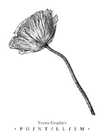 Vector illustration with poppy flower drawn by hand. Graphic drawing, pointillism technique. Black and white floral element for designのイラスト素材