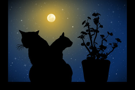 Cats near window on moonlit night. Vector illustration with silhouettes of kittens and flower in pot. Full moon in starry skyのイラスト素材