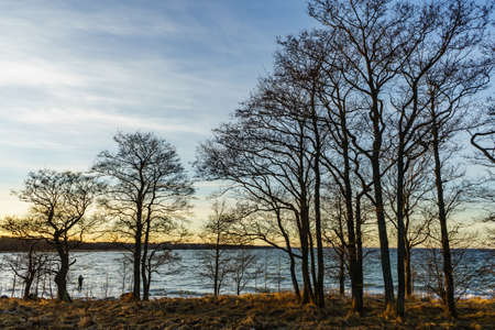 winter sunset on the baltic sea, Estonia Tallinnの写真素材