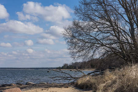 View of the Baltic Sea in the springの写真素材