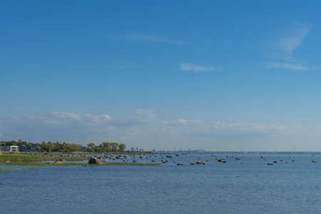 Tallinn view from the seaの写真素材