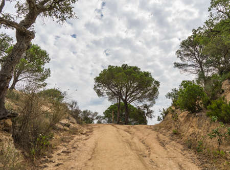 Beautiful green landscape in Spainのeditorial素材
