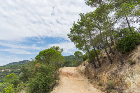 Beautiful green landscape in Spain