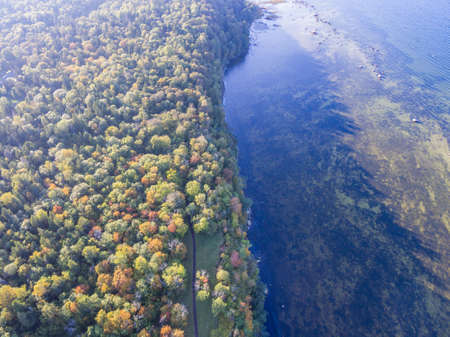 Areal view green forest with sea