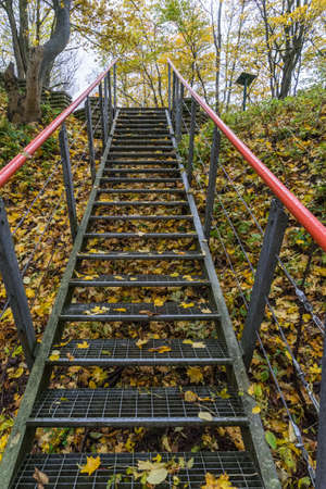 metal stair in autumn forest